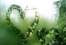 雄鹿队主帅:球队目标是总决赛冠军，不容有失