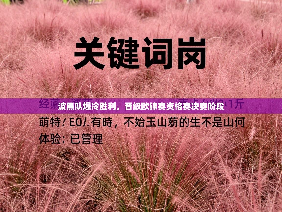 波黑队爆冷胜利，晋级欧锦赛资格赛决赛阶段  第1张