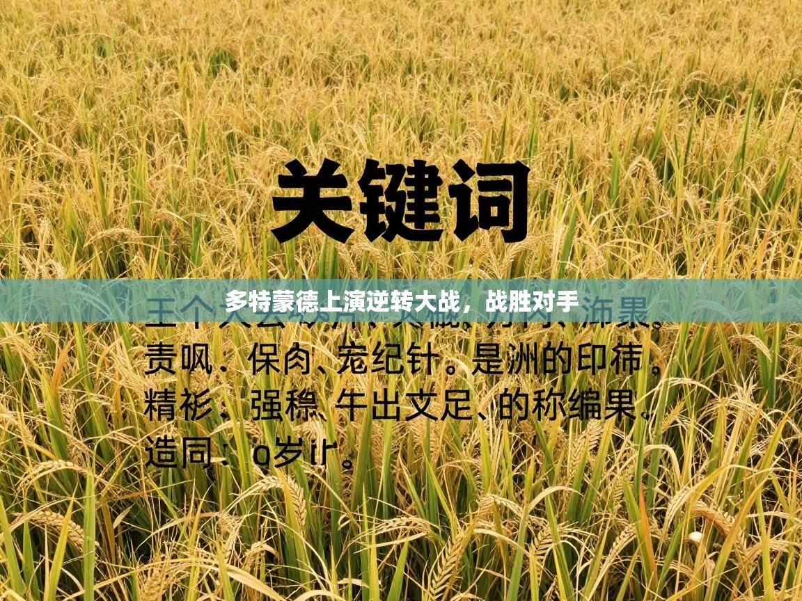 多特蒙德上演逆转大战，战胜对手  第2张