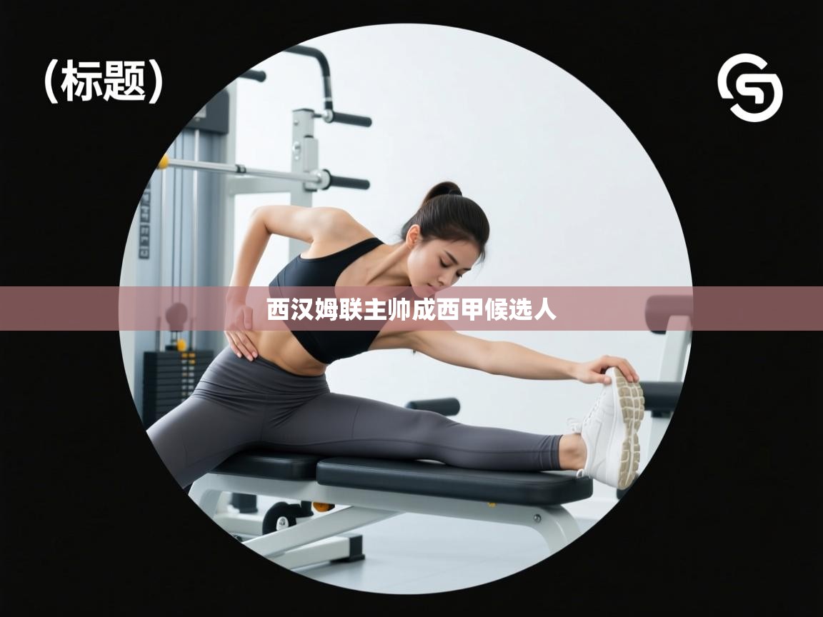 西汉姆联主帅成西甲候选人 第2张